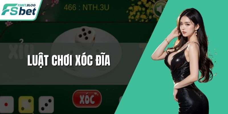 Luật Chơi Xóc Đĩa Online Chuẩn Xác, Thắng Lớn Mỗi Ván